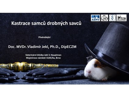 webinář kastrace samec Jekl grafika