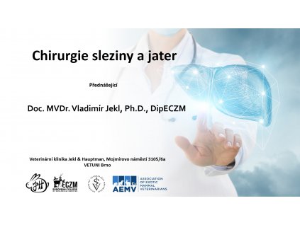 Chirurgie sleziny a jater (1)