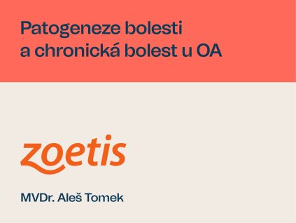17. 6. od 20.00 MVDr. Aleš Tomek, Dipl. ECVN: Patogeneze bolesti a chronická bolest u OA – ZMĚNA TERMÍNU!