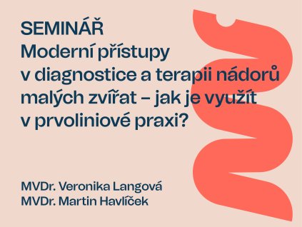 MODERNNI PRISTUPY 01