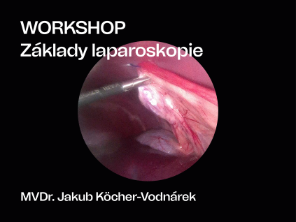 11 WORKSHOP 01 2