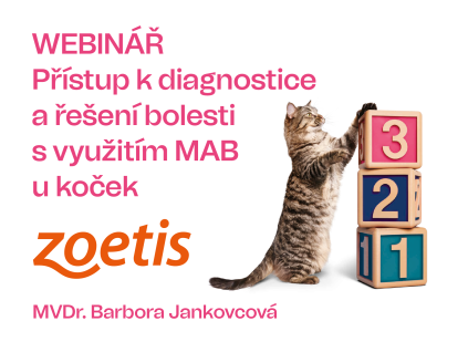 12 webinar kocky 01