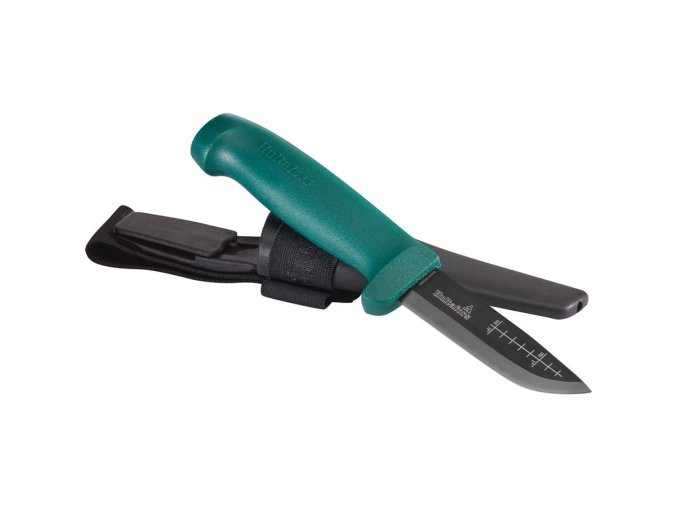 380110 noshadow LowRes