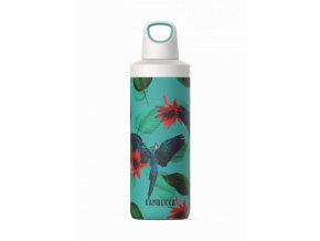 water bottle reno insulated 500ml parrots front 6