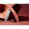 0162572 kapesni nuz victorinox evoke alox limited edition 2025
