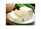 Fresh Indian Cheese Paneer