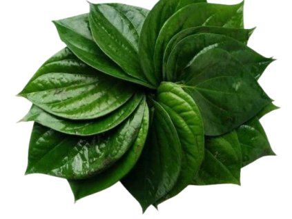 betel leaf paan ka patta 417 removebg preview