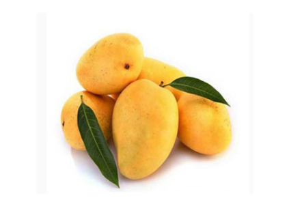 banganapalli 1000x1000