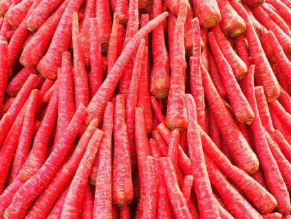 pile of carrots red fresh organic healthy free photo