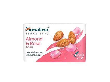 HIMALAYA ALMOND ROSE