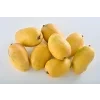 chaunsa mango 600nw 676039792