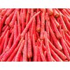 pile of carrots red fresh organic healthy free photo