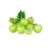fresh amla