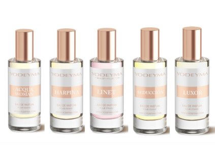 Snímek obrazovky 2025 12 04 v 13.25.59