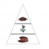 LAROME Paris TACON Swee