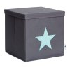 STORE IT Úložný box s víkem šedá s mintovou hvězdou