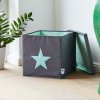 STORE IT Úložný box s víkem šedá s mintovou hvězdou