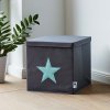 STORE IT Úložný box s víkem šedá s mintovou hvězdou
