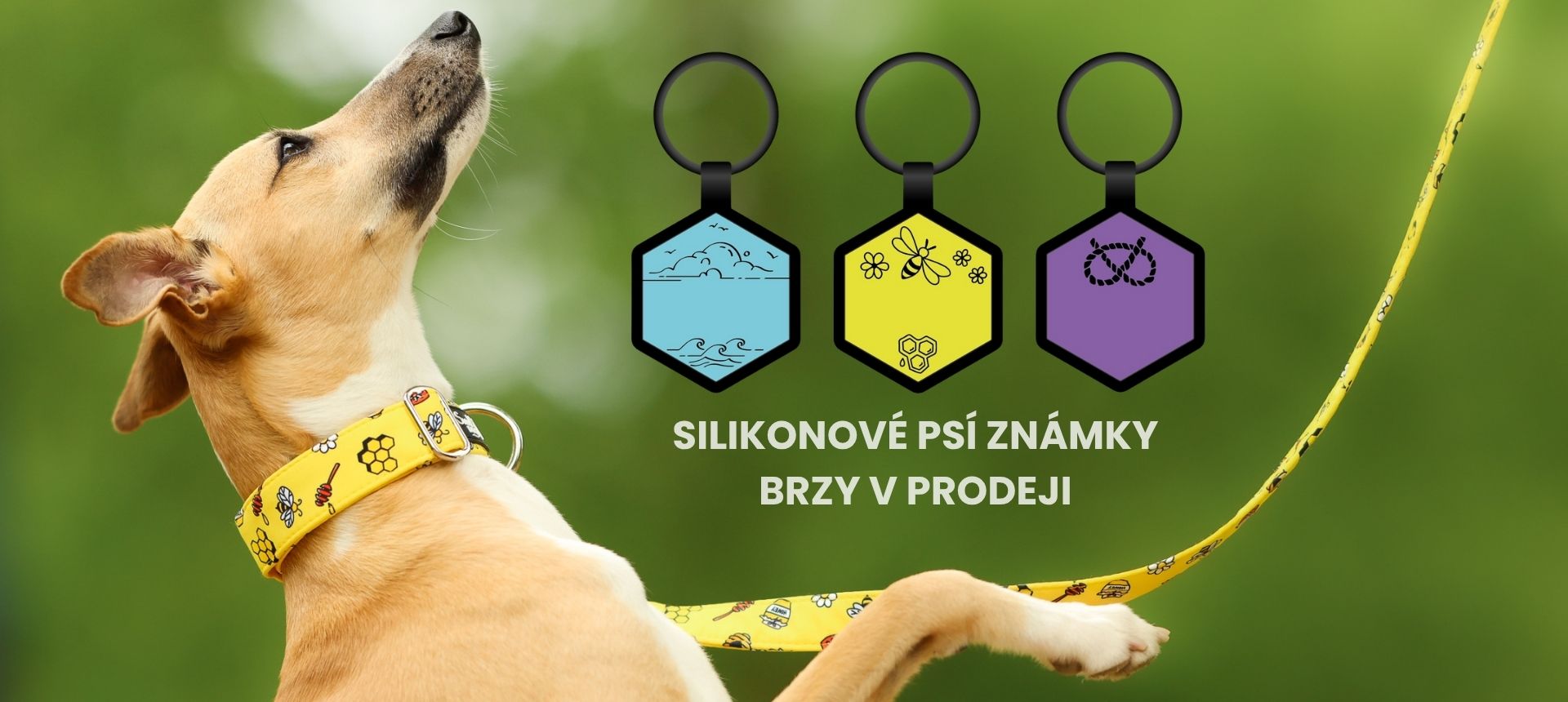 Silikonové psí známky, které necinkají.