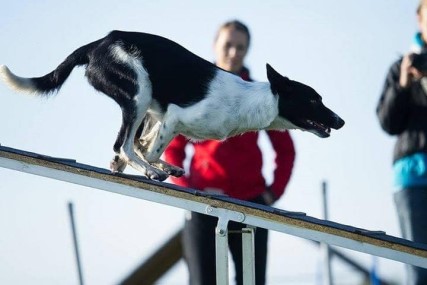 AGILITY - Sbíhané zóny přes target