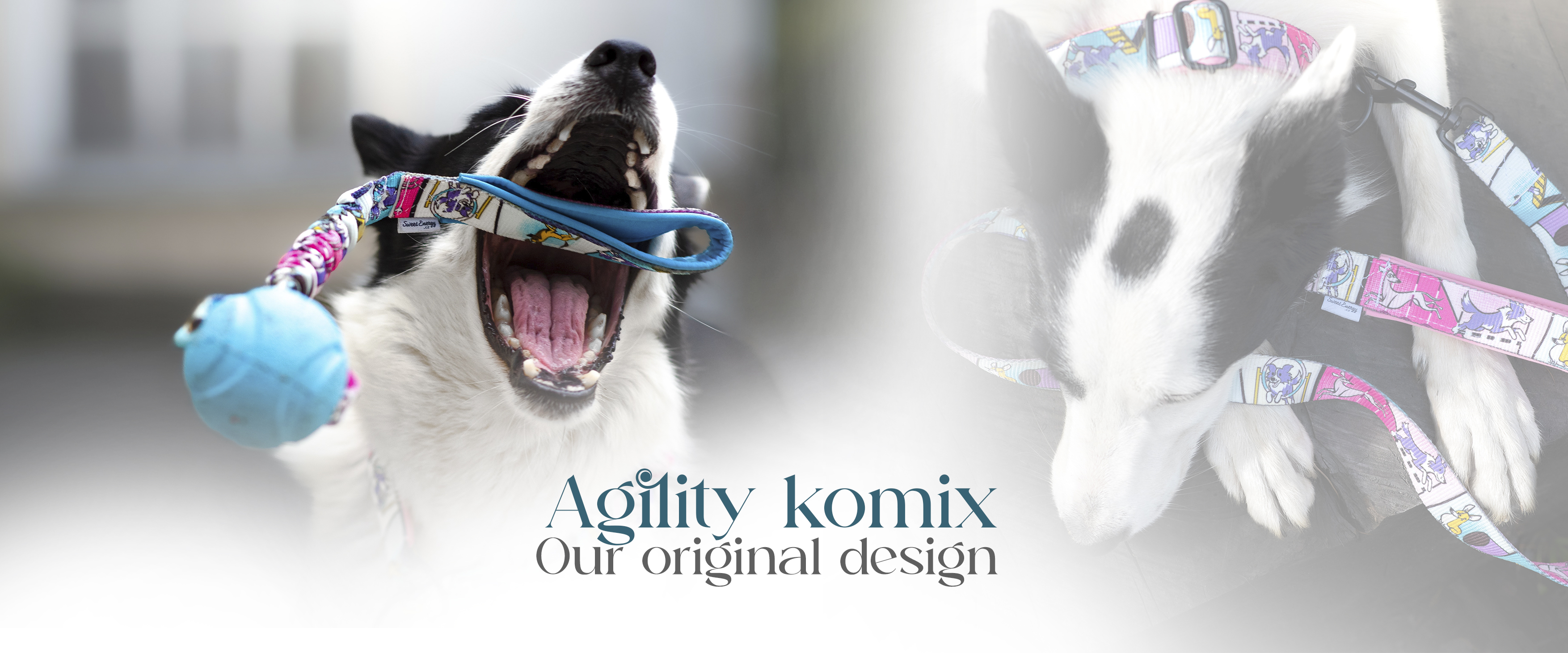 Agility komiks