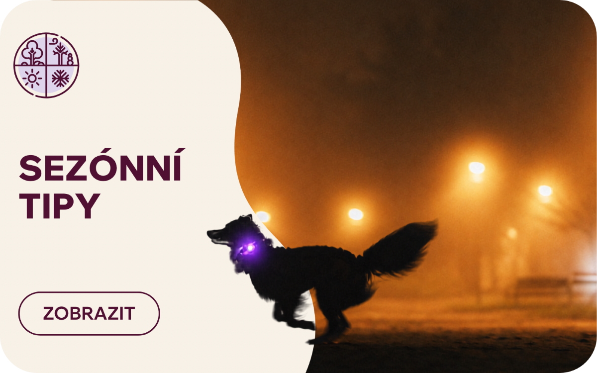 Sezónní tipy podzim