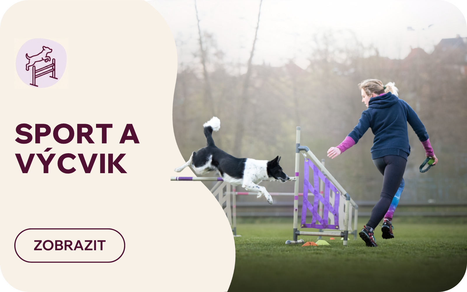 Sport a výcvik