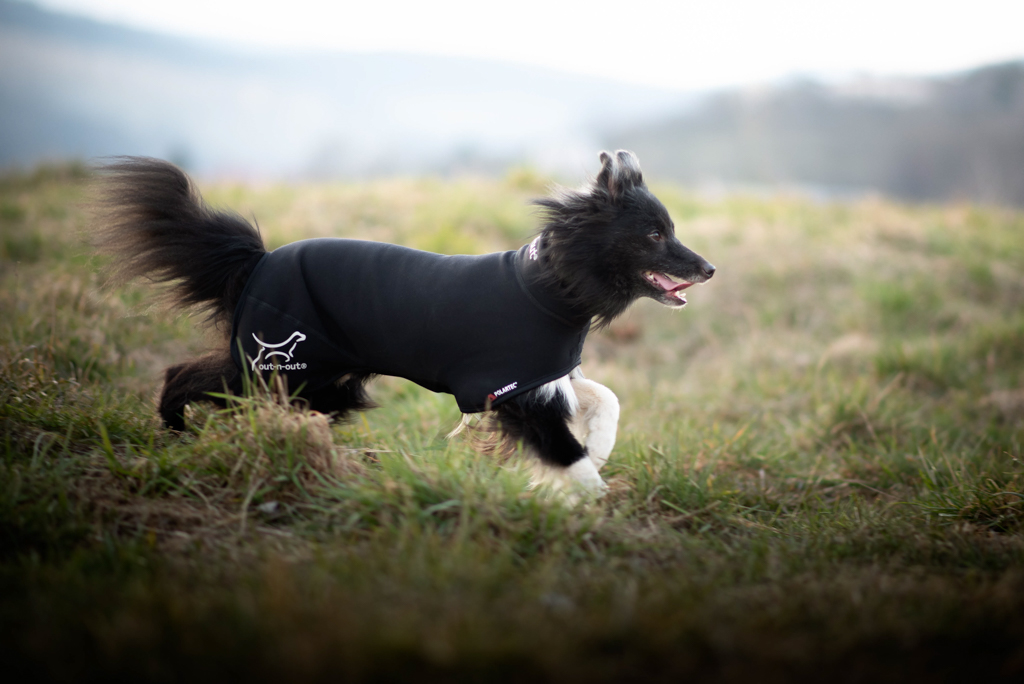 Dog wearing a warm coat