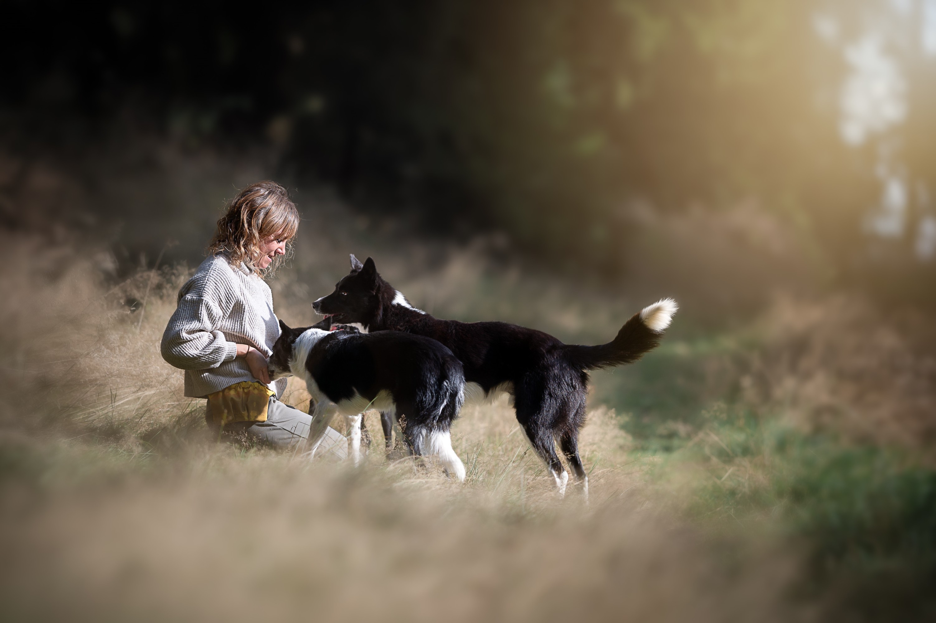 SweetEnergy – Erfahrungen aus dem Leben mit Hunden