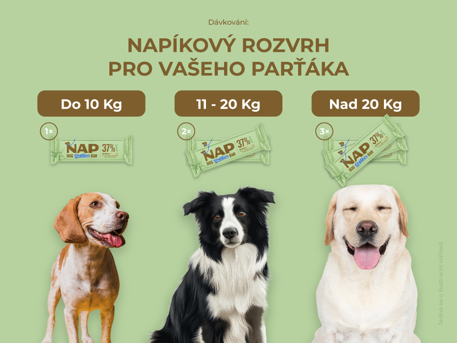 psiprotein_slozeni_hmyzi_davkovani