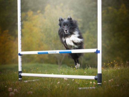 Tréninková agility skoková překážka