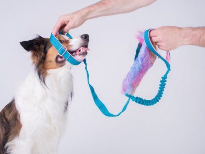 Rainbow Bungee agility leash  Agility leash with bungee and rainbow faux-fur tug · 150 cm