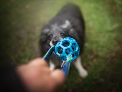 JW Hol-EE ball with handle  Openwork dog ball with handle for interactive play