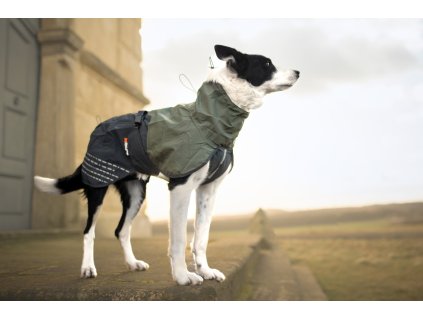 Non-stop dogwear Pláštěnka Fjord