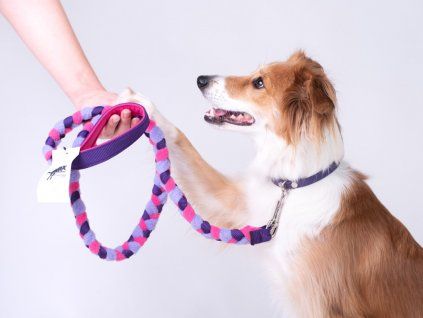 Fleece dog leash  Fleece dog leash with integrated motivational play element