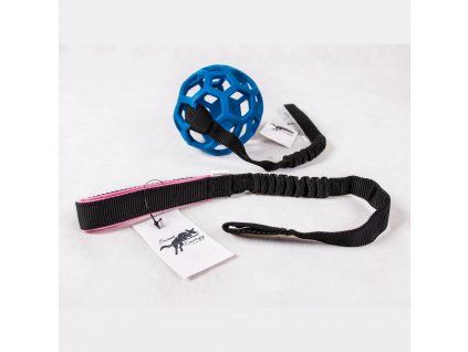 Reusable bungee handle