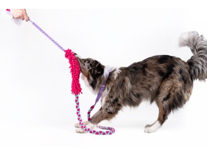 Agility voditko 4m