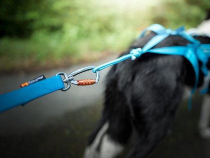 Non-stop dogwear BUNGEE LEASH blue - VODÍTKO S AMORTIZÉREM