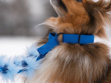 Agility vodítko pletené s chlupatinou a amortizérem