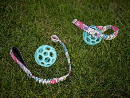 Reusable bungee Agility comic