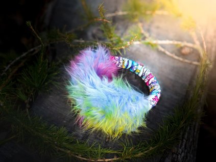 Rainbow Ring bungee Agility comic