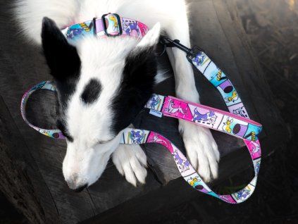 Classic Agility comic dog leash  Classic dog leash · 120 cm · softshell handle