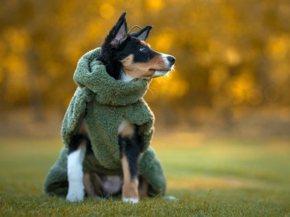 PAIKKA Svetr Sherpa Olive  + dárek ZDARMA