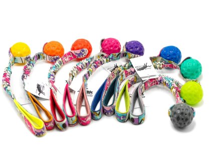 Geo ball bungee Agility komiks