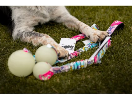 Chuckit! Max Glow bungee Agility komiks