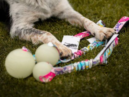 Chuckit! Max Glow bungee tug Agility comic  Glow-ball tug with bungee · sizes S–L