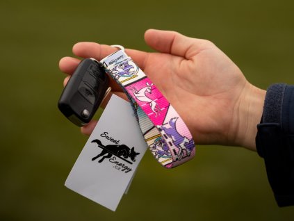 Keychain Agility comic