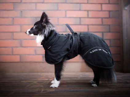 Back on Track BAY Mesh dog coat, Low set tail