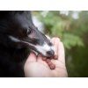 Salmon & Arctic krill training treats  Fish training treats · approx. 12 mm · poultry-free