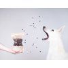 Salmon & Arctic krill training treats  Fish training treats · approx. 12 mm · poultry-free